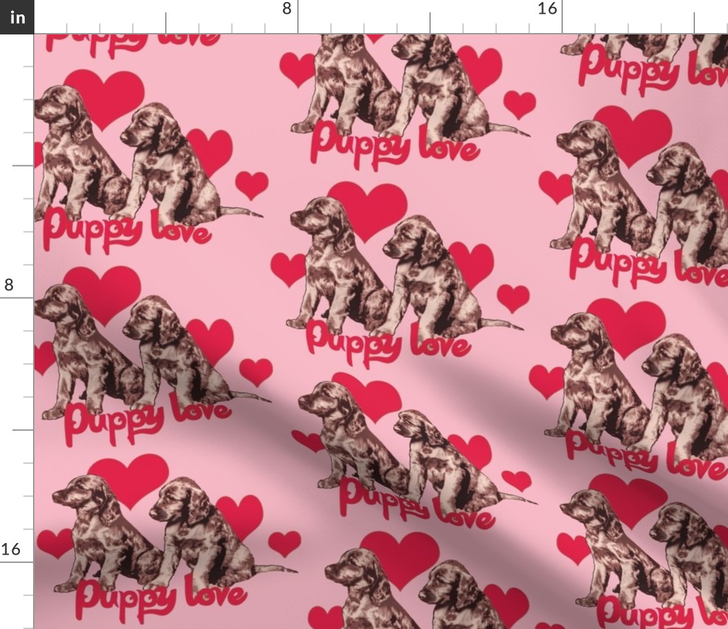 Irish Setter Puppies and Hearts