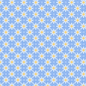 Spring Daisies (blue and yellow) (extra small)