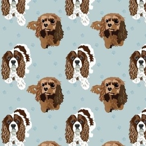 Clifden and Daisy Cocker Spaniel Dogs with light green background mint