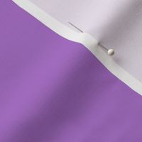 Bright medium purple solid color - coordinate