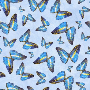 Blue Butterflies (medium)
