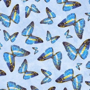 Blue Butterflies (small)