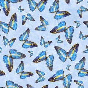 Blue Butterflies (x small)