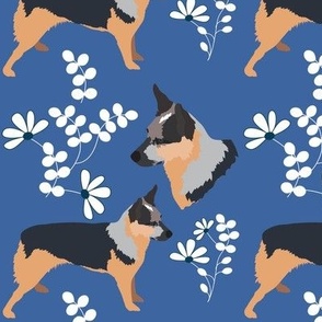 Stumpy Tailed Texas Heeler Dog Jeanie- Karen's dog blue background