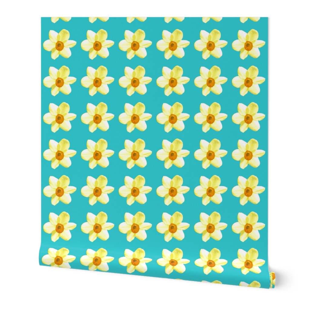 Daffodils