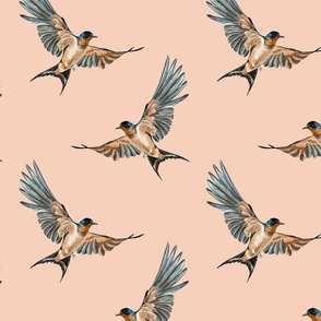 Barn Swallow Birds on Blush