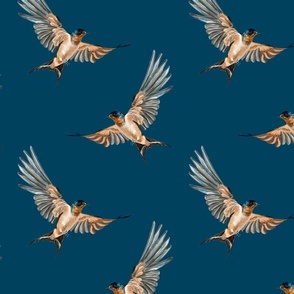Barn Swallow Birds on Blue
