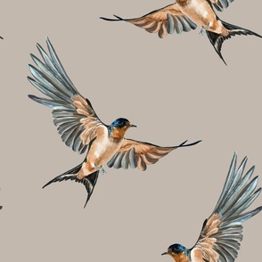 Large Scale Barn Swallow Birds on Grey