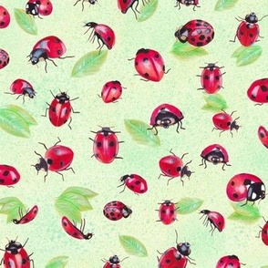 Ladybugs (small)