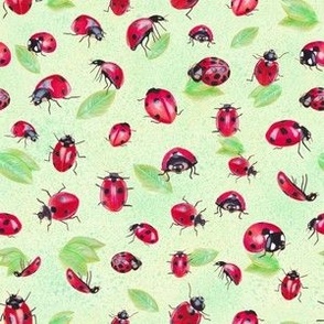 Ladybugs (x small)