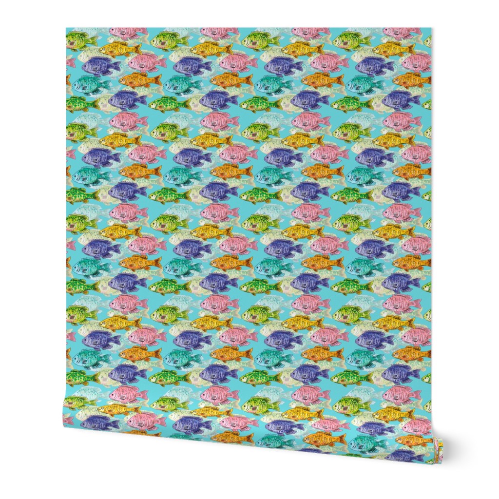 Cute Colourful School Of Fish 