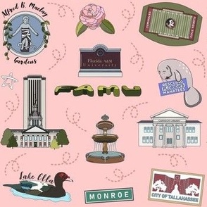 Tallahassee The Capital of Florida landmarks pattern in pink