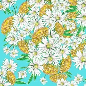 Daisies and dandelions on turquoise