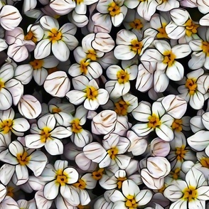 white flower fields