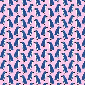 Little Blue Penguin on Pink – Medium