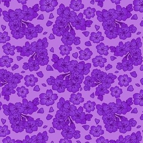 Purple Sakura