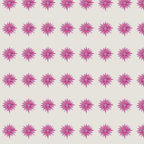 Raspberry crush floral filler ecru