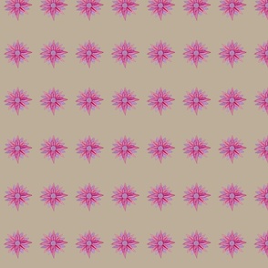 Raspberry crush floral filler beige