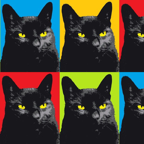 Black cat with yellow eyes