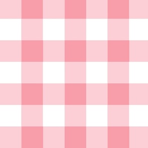 Large  Gingham in Dark Pink and White