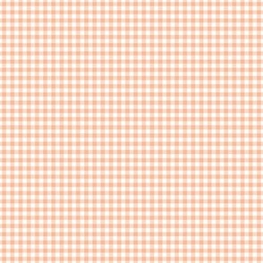 Light pink Gingham plaid 1/8 inch| Small