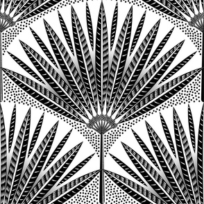 White and black palm leaves