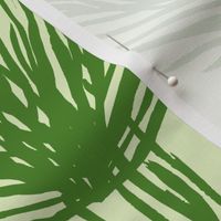 Large Beach palm leaves