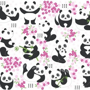 panda with blossoms white ground
