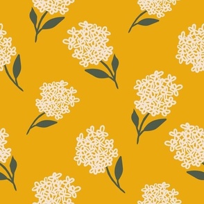 Beige Hydrangea flowers on mustard yellow