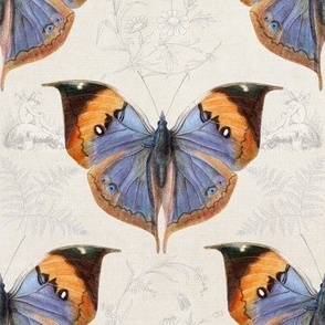 8" MEDIUM Vintage Fairy Garden Butterfly in cream by Audrey Jeanne