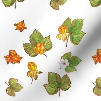 Whimsical Cloudberries