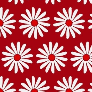 Twirling Daisies Red 6x6in