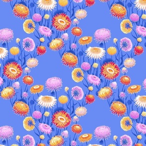 Small vibrant straw flowers in red orange yellow pink and purple on a cornflower blue background in diagonal pattern