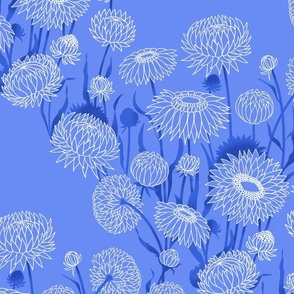 Large white straw flowers with dark blue leaves on a cornflower blue background in diagonal pattern