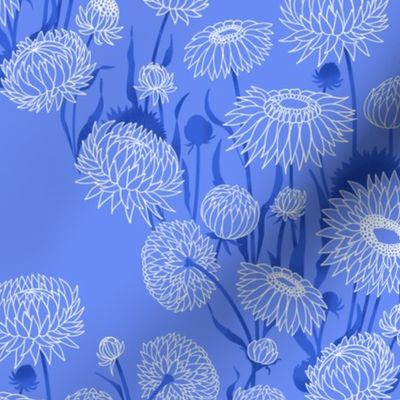 Small white straw flowers with dark blue leaves on a cornflower blue background in diagonal pattern