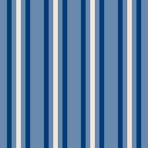Triple Stripes - Navy Pristine on Wedgewood Blue