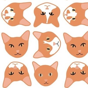 Ginger Cat Faces Multidirectional