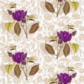 (M) Lush watercolor roses in deep lilac 