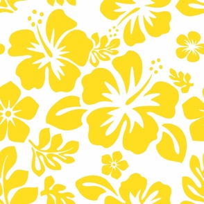 Yellow Hawaiian Flowers on White - Medium Scale