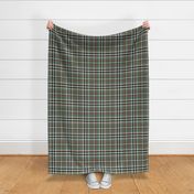 Waffle Grid Plaid in Brown and Sage Green