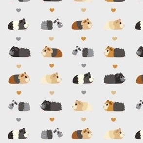 guinea pigs with hearts