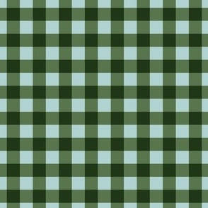1/2 inch Green Gingham Check on Robins Egg Blue