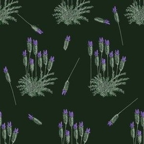 lavender-medium 6x6 inch