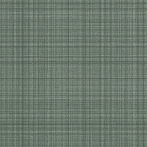 Natural Hemp Checks Grasscloth Texture Benjamin Moore _Lush Rich Green Blue 748070 Subtle Modern Abstract Geometric