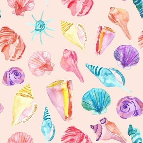 summertime seashells on beautiful blush