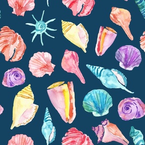 summertime seashells on navy blue
