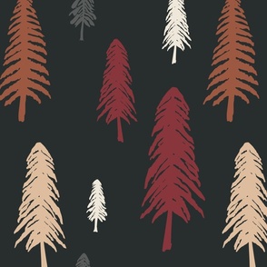 Pine Trees-Nighttime