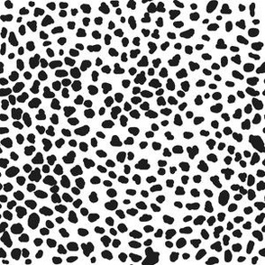 Small Black Dots / Spots / White