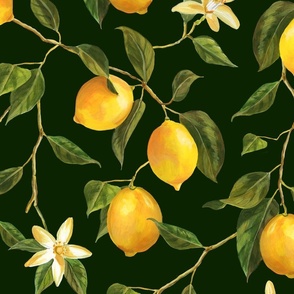 Lemon Branches and Blossoms