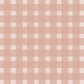 Blush Pink Gingham Pattern, Large